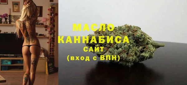 мет Новозыбков