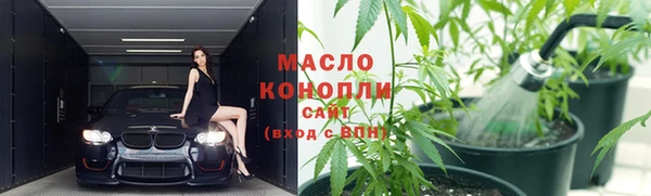 мет Новозыбков