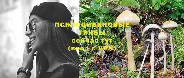 круглые Новодвинск