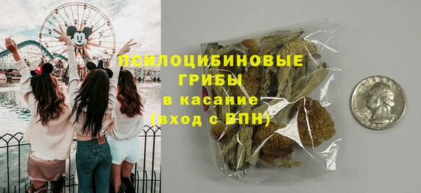 мет Новозыбков