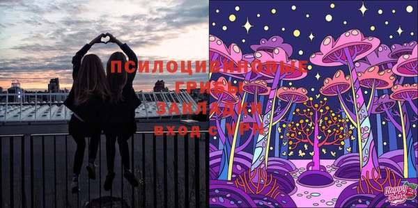 мет Новозыбков