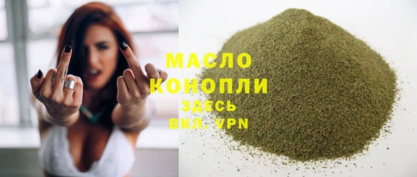 мет Новозыбков