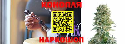 дмт Краснознаменск