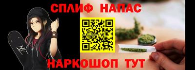 прущие грибы Краснодар