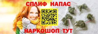 прущие грибы Краснодар