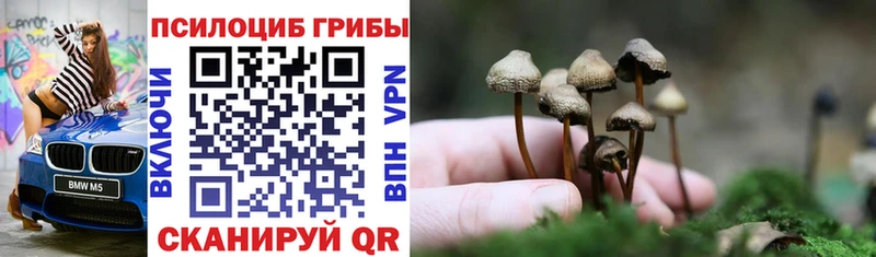 Галлюциногенные грибы GOLDEN TEACHER  mega ONION  Унеча 