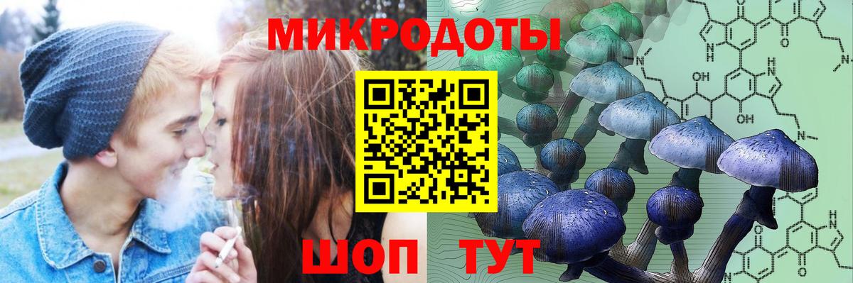 Галлюциногенные грибы прущие грибы Унеча