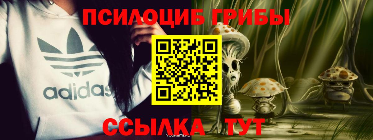 Галлюциногенные грибы Psilocybe  Псилоцибиновые грибы MAGIC MUSHROOMS  Унеча 